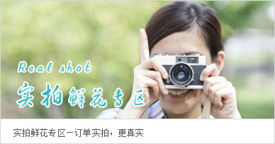 實(shí)拍鮮花專區(qū)
